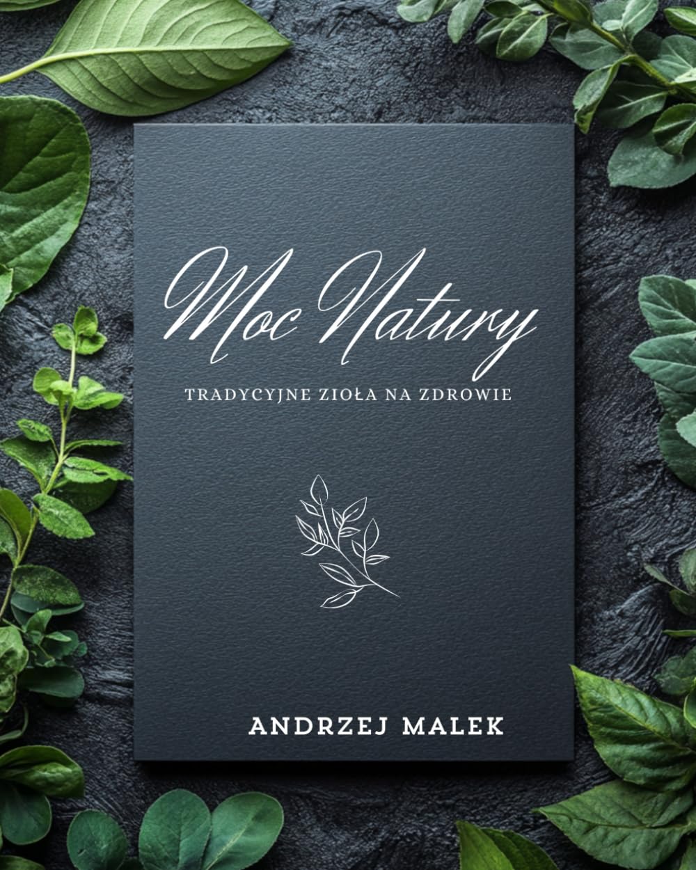 Moc Natury: Tradycyjne Zioła na Zdrowie